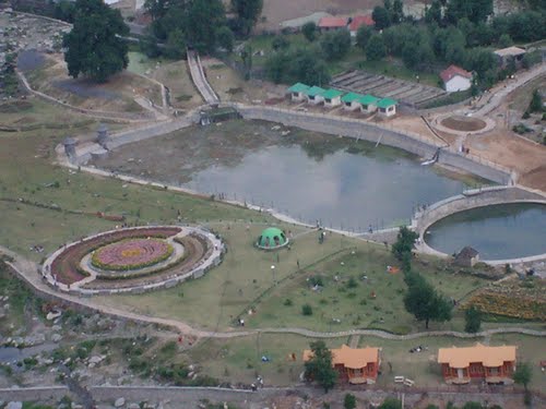 fish_pond