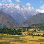 palampur