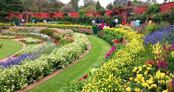 Mughal Gardens Satyam Sai Tour And Travels